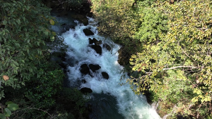 贵州茂兰自然生态碧水溪流俯拍航拍4K