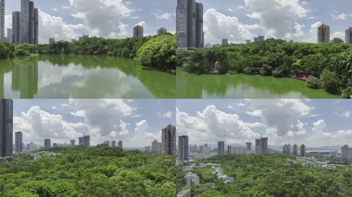 深圳绿化