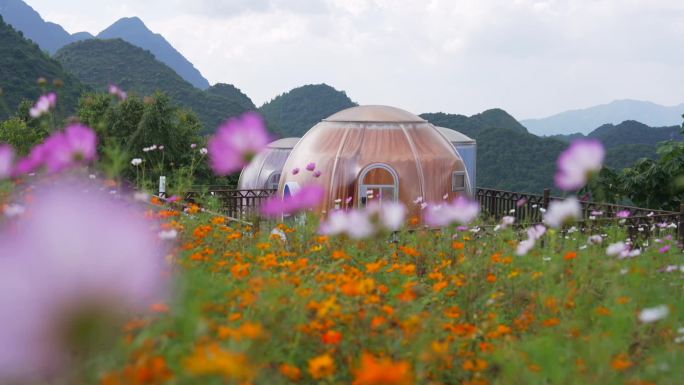 泡泡屋