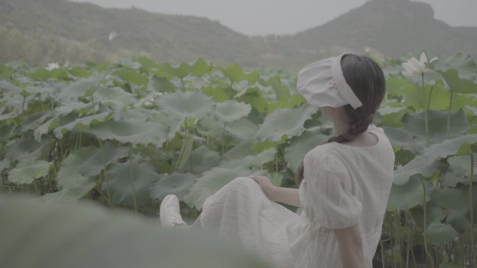 美女在千亩荷塘荷叶荷花游玩观赏旅游5