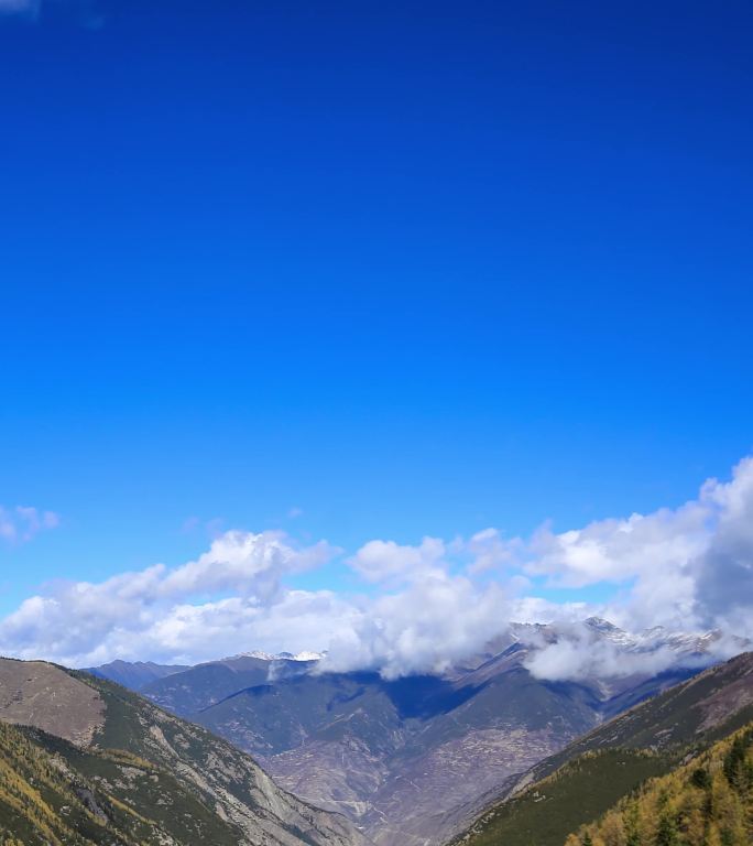 川西高原夹金山雪山云海蓝天天空延时竖屏