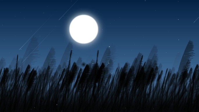 月亮流星芦苇丛