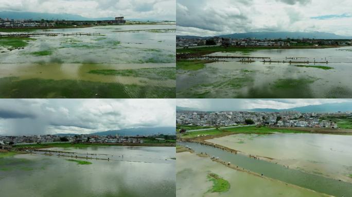 【5k】小镇生活与湿地环境