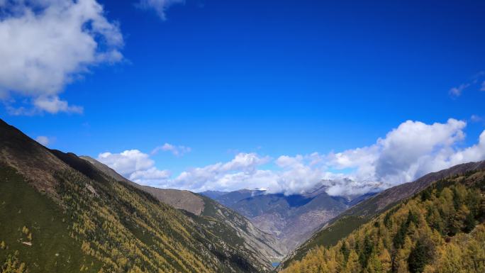 川西高原雪山云海蓝天延时山谷峡谷森林彩林