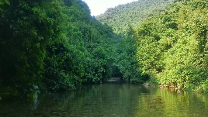 绿水青山原生态清澈溪流水
