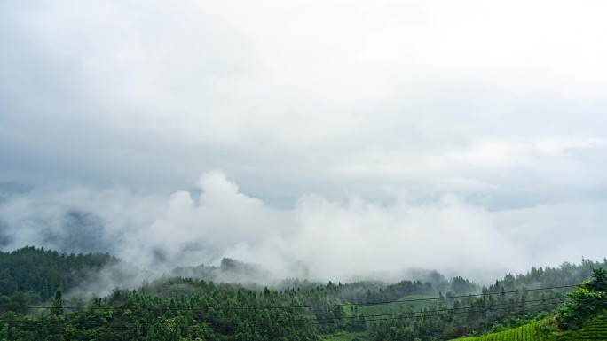 延时湖北恩施鹤峰木耳山茶场云雾自然风光