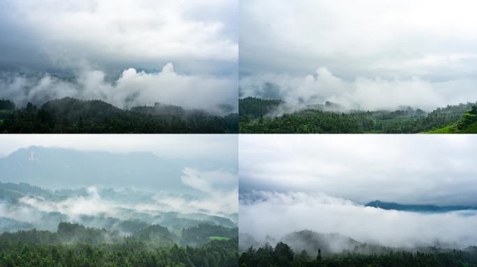 延时湖北恩施鹤峰木耳山茶场云雾自然风光