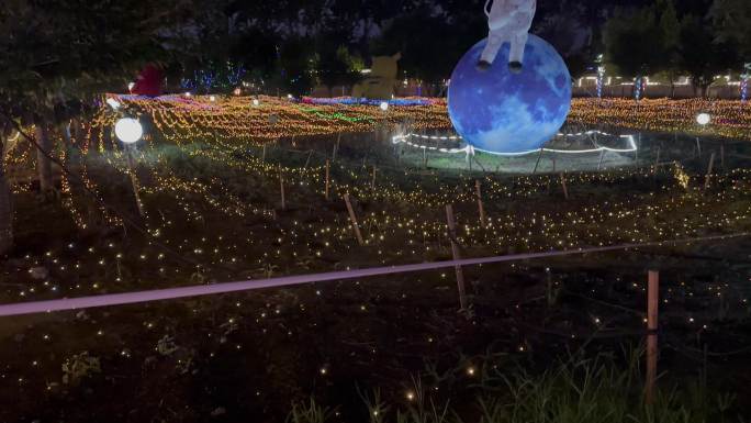 北京 夜幕 游乐园 灯光 灯展 灯光秀