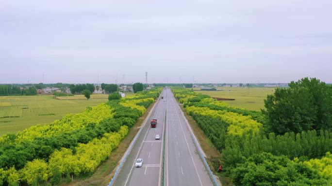 乡镇道路4K