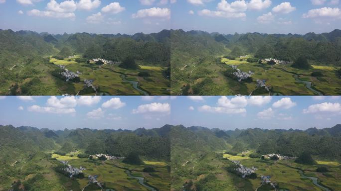 阳光下广西百色喀斯特地貌山谷中金色的稻田