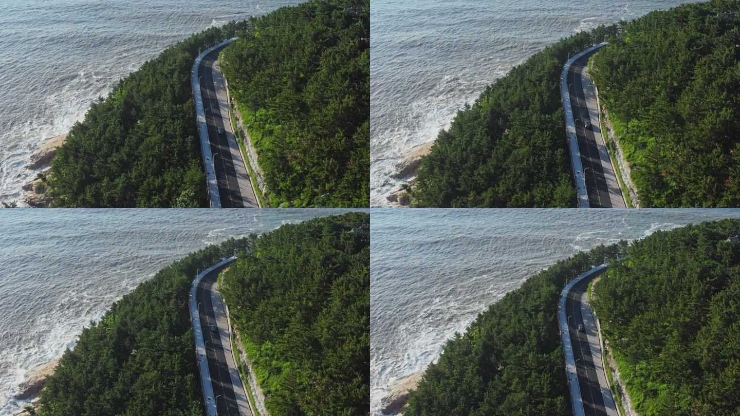 海边风景 海边航拍 海景 海岸线 海边