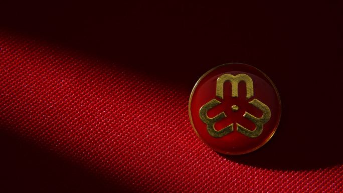 三八妇女联合会扫光