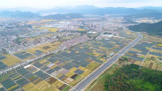 熊出没建设