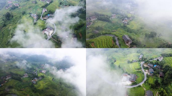 乡村振兴片头农业农耕立秋梯田航拍秋景4K