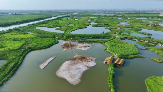 宁波杭州湾国家湿地公园