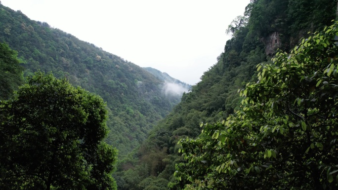 贵州赤水燕子岩