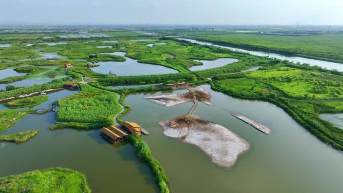 宁波杭州湾国家湿地公园