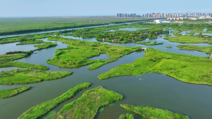 宁波杭州湾国家湿地公园