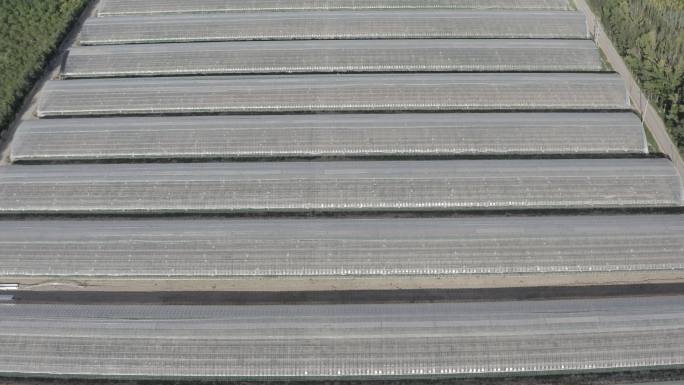 内蒙古嘉仕农业-log