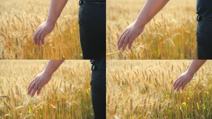 手抚摸麦子
