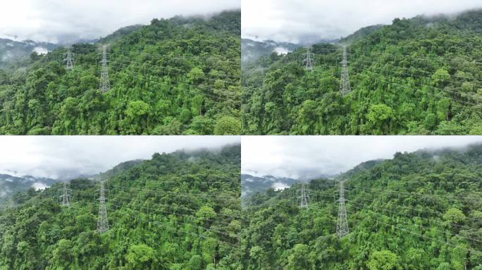 热带原始森林中的输电塔
