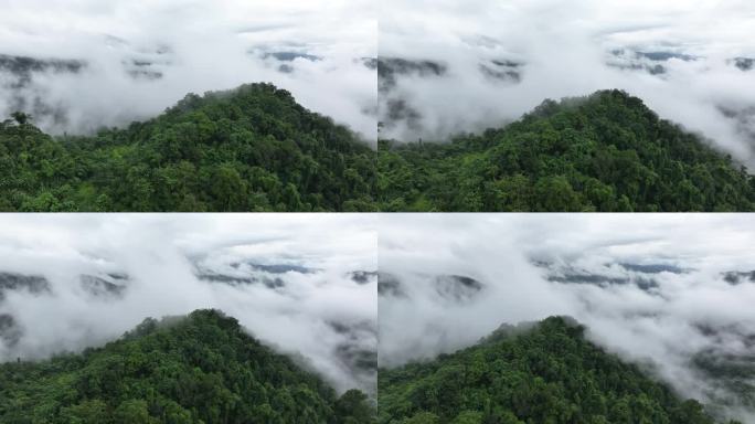 云雾缭绕中的云南盈江县热带雨林风景