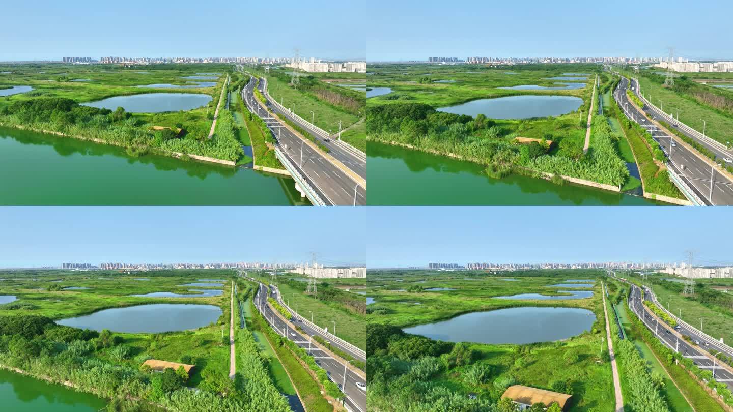 宁波杭州湾国家湿地公园