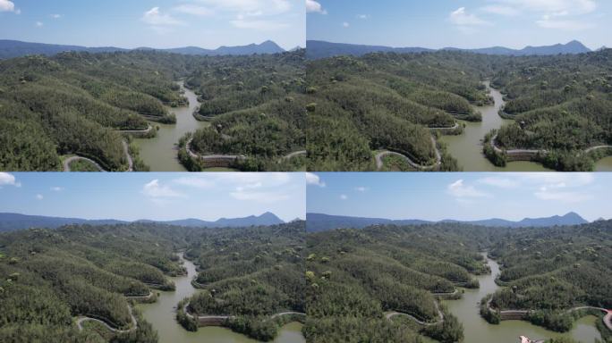 赤水竹海国家森林公园