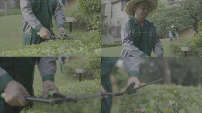 4K Log 园林工人修剪草坪