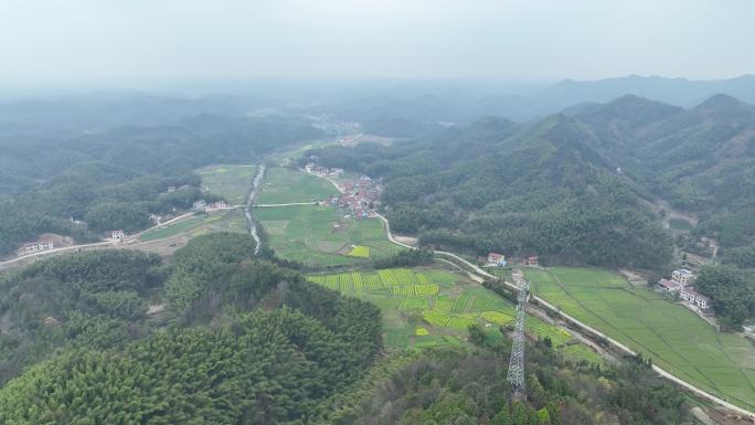 4K航拍乡村大山竹林地质灾害9