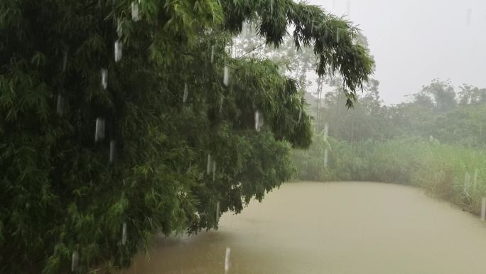 雨 雨天 大雨农村下雨 雨景绿色乡村雨景