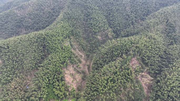 4K航拍乡村大山竹林地质灾害14