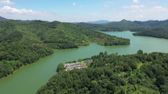 水库 湖水 水 大自然