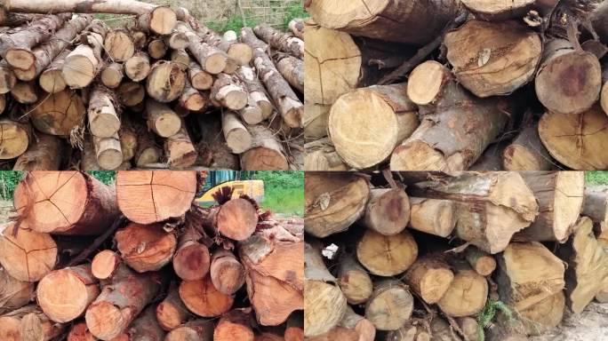木堆 堆放一堆木头 一堆木材木头视频素材