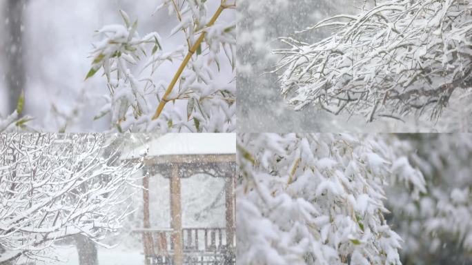 鹅毛大雪纷飞下雪的冬天立冬