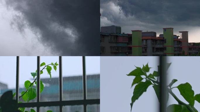 夏日黄昏时分的骤雨