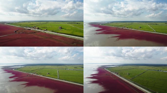 盘锦红海滩辽河入海口海洋监测高频地波雷达