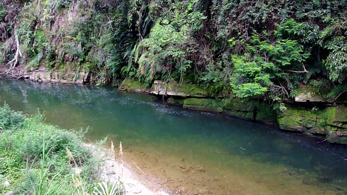 青山绿水山清水秀