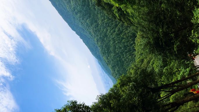 绍兴香炉峰，爬山风景，有寺庙、竹子等元素