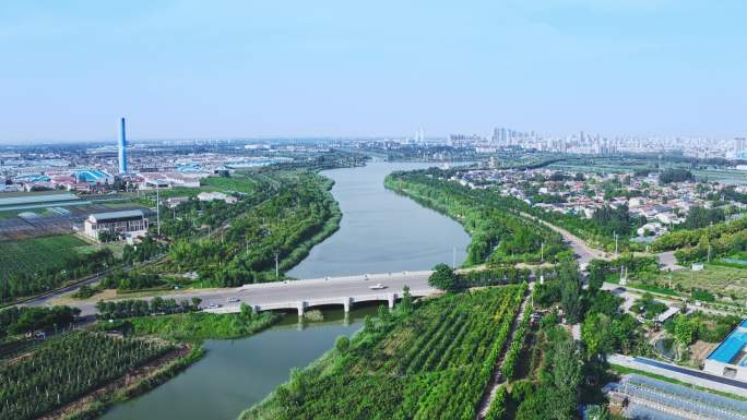 金乡县航拍 金蒜湖湿地公园 大蒜种植基地