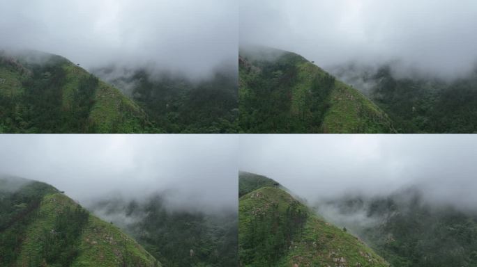 云雾缭绕山谷