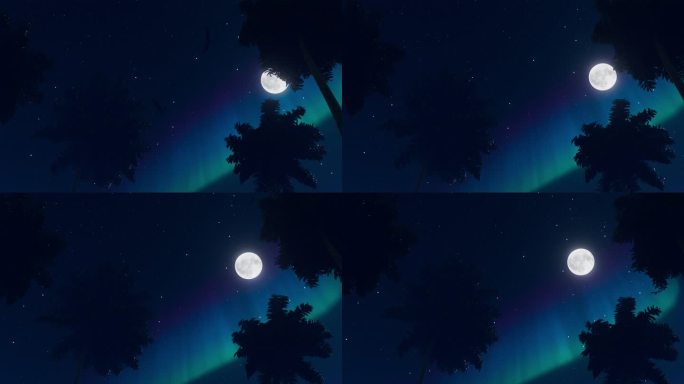 夜晚海边月光椰子树摇曳