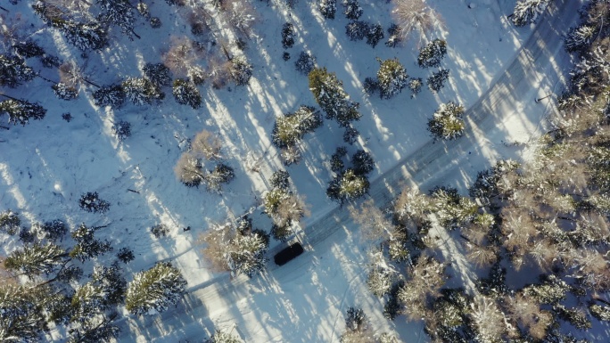 汽车行驶在雪地森林里