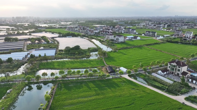 蔬菜大棚 河道  水乡 江南 山青水秀