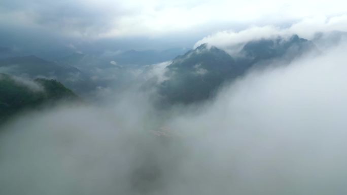 山水云雾  生态环境 自然环境 生态记录