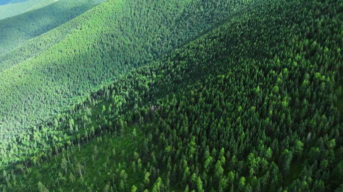 高山草原森林航拍