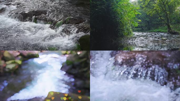 山里的溪水和植物