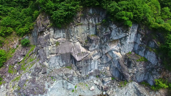 破坏植被