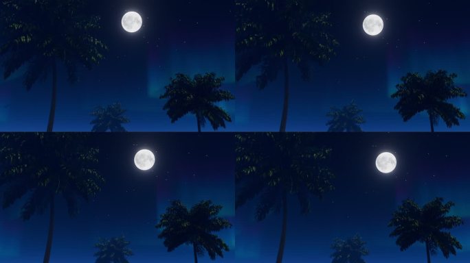 夜晚海边月光椰子树摇曳