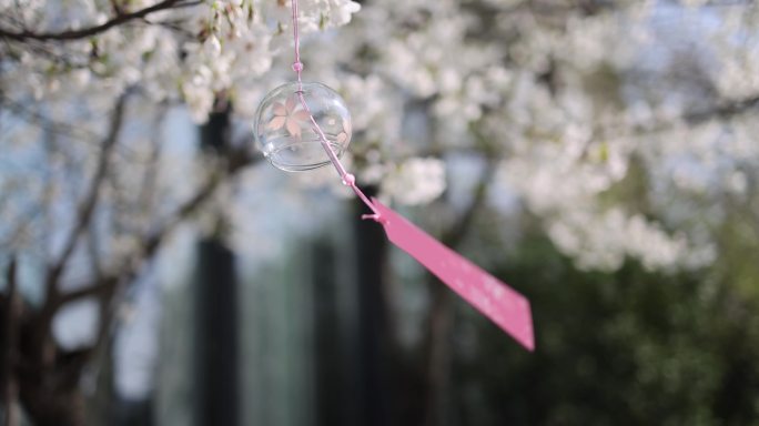 春天 悬挂着 风铃 梨花 樱花